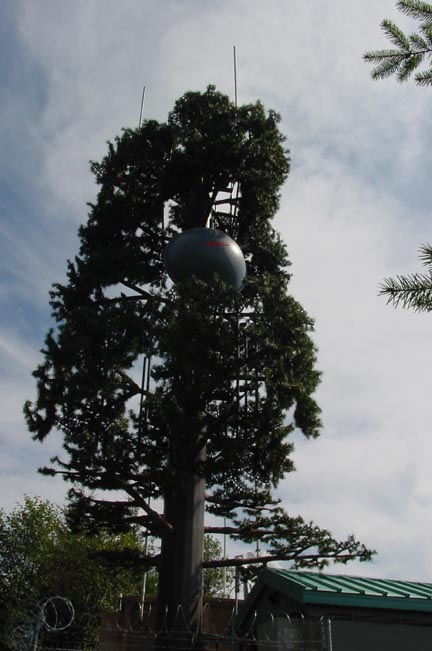 Nextel Tree