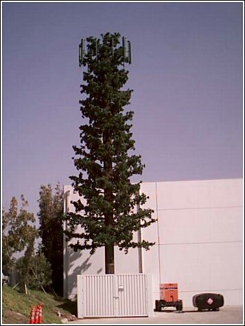 Sprint PCS monopine in Ontario, CA